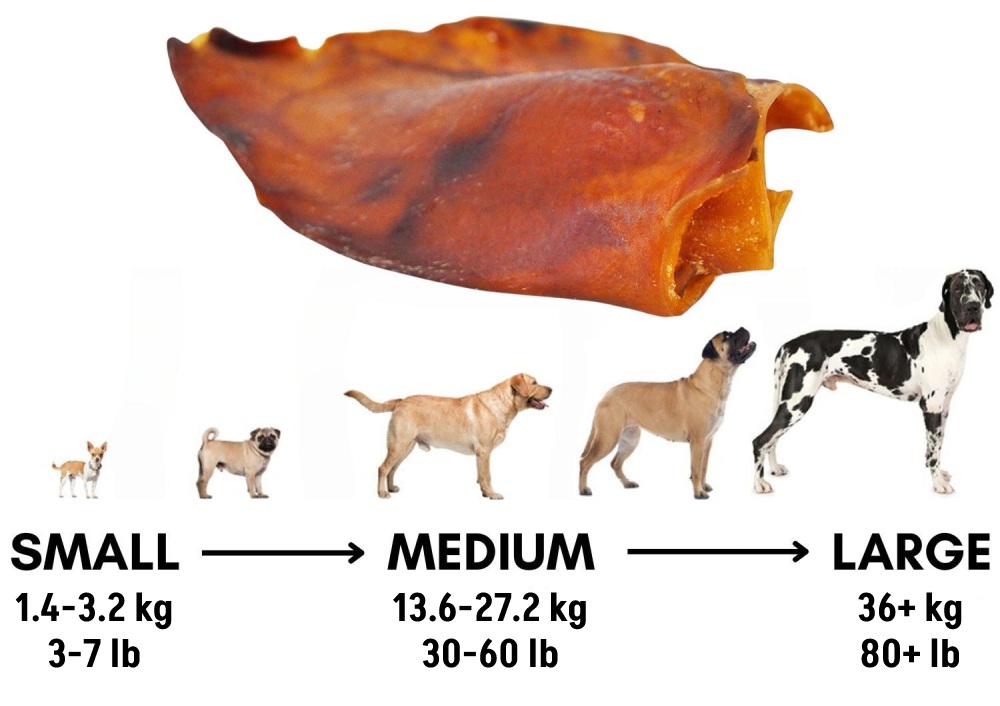 buy whole pig ears for dogs